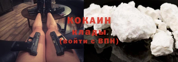 прущие грибы Алзамай