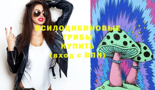 прущие грибы Алзамай