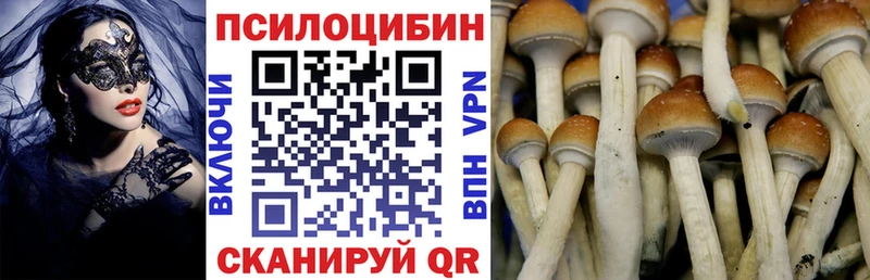 закладки  Сосновоборск  Псилоцибиновые грибы мухоморы 
